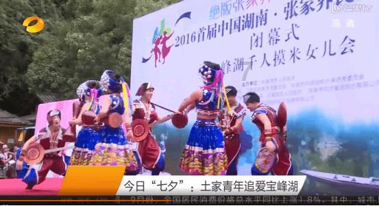 逃离变色龙森林